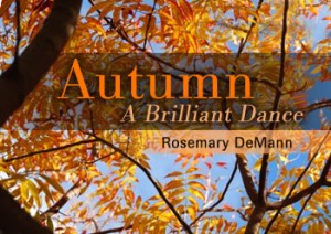 Autumn, A Brilliant Dance